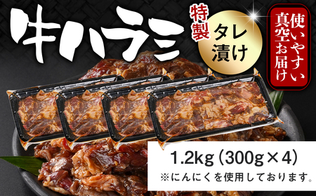 牛ハラミ タレ漬け1.2kg_12-3309_(都城市) 味付き 牛肉 真空 小分け