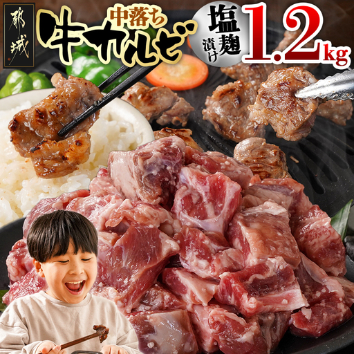 牛中落ちカルビ 塩麹タレ漬け1.2kg_AA-3315_(都城市)  味付き牛中落ちカルビ 300g×4パック 真空 小分け 1200g