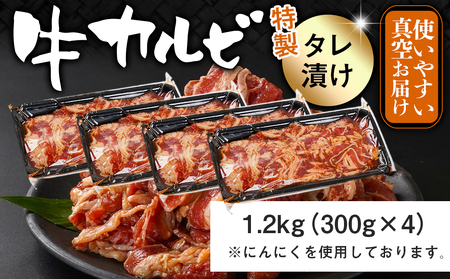 牛カルビ タレ漬け1.2kg≪みやこんじょ特急便≫_LG-3325-Q_(都城市)  味付き 300gパック 真空 小分け 牛肉