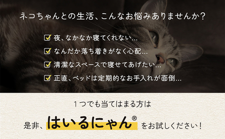 【チョコレートブラウン】はいるにゃんフランネル ≪Lサイズ≫_13-J203-cb