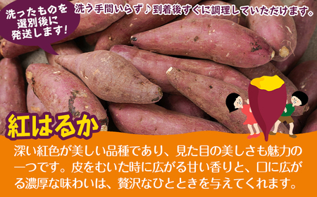 【熟成芋】芋名人が認めるさつまいも『洗い済み　紅はるか』5.2kg 2Lサイズ ※12月～1月頃順次発送_LE-L703-J_(都城市) 宮崎県都城産 紅はるか 2Lサイズ