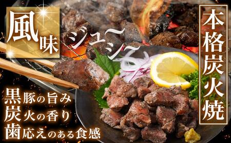 霧島黒豚の炭火焼80g×10P_AA-2814