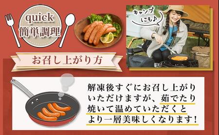 霧島黒豚プレミアあらびきウインナー1.4kg_11-2804_(都城市) 都城産 霧島黒豚 あらびきミンチ ウインナー 140g×10P おかず