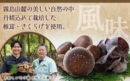 香り立つ!!「きのこ餃子」120個_16-8701_(都城市) ギョウザ 12個入り 10パック 無農薬栽培 椎茸 きくらげ 都城産ブランド豚 きなこ豚 きゃべつ ニラ ニンニク使用 ヘルシー餃子 大杉しいたけ園