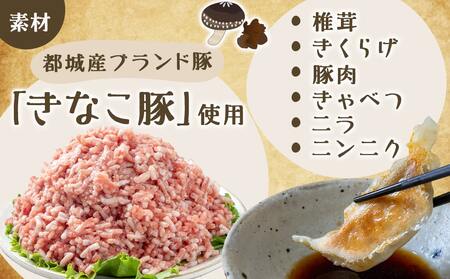 香り立つ!!「きのこ餃子」120個_16-8701_(都城市) ギョウザ 12個入り 10パック 無農薬栽培 椎茸 きくらげ 都城産ブランド豚 きなこ豚 きゃべつ ニラ ニンニク使用 ヘルシー餃子 大杉しいたけ園