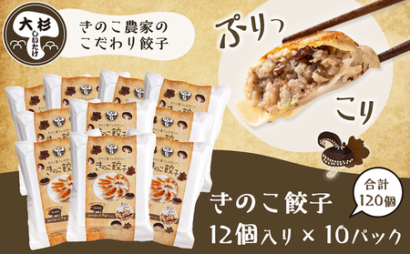 香り立つ!!「きのこ餃子」120個_16-8701_(都城市) ギョウザ 12個入り 10パック 無農薬栽培 椎茸 きくらげ 都城産ブランド豚 きなこ豚 きゃべつ ニラ ニンニク使用 ヘルシー餃子 大杉しいたけ園