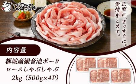 観音池ポークのロースしゃぶしゃぶ 2kg_MJ-1555_(都城市) 都城産 ブランドポーク 観音池ポーク ネッカリッチ ロース しゃぶしゃぶ肉