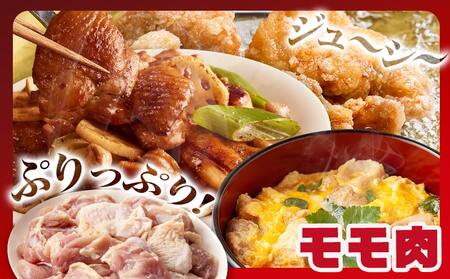 国産若鶏モモ肉&ムネ肉☆調理しやすいIQFカット済み!5.1kg_MJ-3649_(都城市) 国産 若鶏 モモ肉 500g 3袋 ムネ肉 600g 6袋 小分け 冷凍