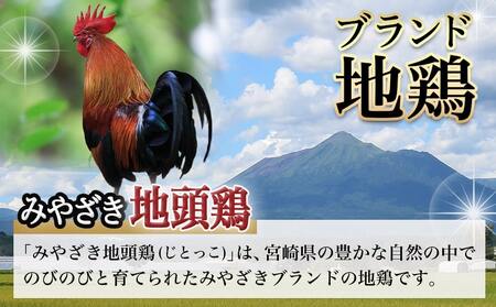 【たしろ屋】みやざき地頭鶏のたたき300g_AA-9907_(都城市) 都城市産 みやざき地頭鶏 たたき もも肉 むね肉使用 タレ付