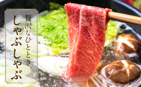畜産農家応援! 宮崎牛スライス2種セット500g×2パック_AC-N203_(都城市)  牛肉 すき焼き しゃぶしゃぶ