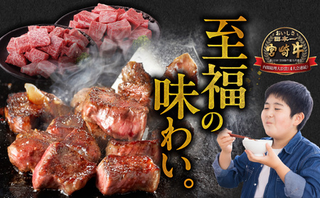 畜産農家応援! 宮崎牛サイコロステーキ2種セット500g×2パック_AC-N206_(都城市) 牛肉 黒毛和牛 赤身 霜降り 肩ロース又はロース ウデモモ 1kg ミヤチク ギフト 贈答用