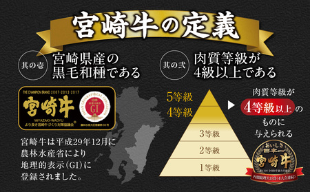 畜産農家応援! 宮崎牛サイコロステーキ2種セット500g×4パック_36-N204_(都城市) 黒毛和牛 赤身 霜降り 肩ロース又はロース ウデモモ 2kg ギフト 贈答用