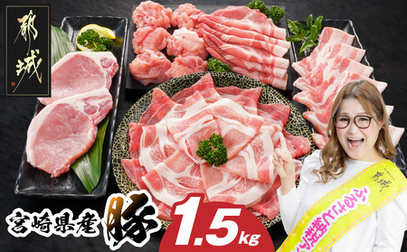 宮崎県産豚わくわく1.5kgセット(真空)_11-8401-s_(都城市) 豚肉 豚肉セット 宮崎県産豚 しゃぶしゃぶ バラ 焼肉 切り落とし 肩ローススライス ロース とんかつ ミンチ 使い勝手抜群 小分け 真空