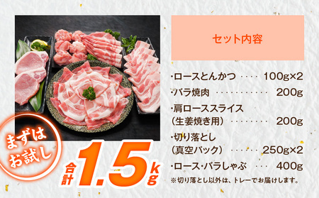 宮崎県産豚わくわく1.5kgセット(真空)_11-8401-s_(都城市) 豚肉 豚肉セット 宮崎県産豚 しゃぶしゃぶ バラ 焼肉 切り落とし 肩ローススライス ロース とんかつ ミンチ 使い勝手抜群 小分け 真空