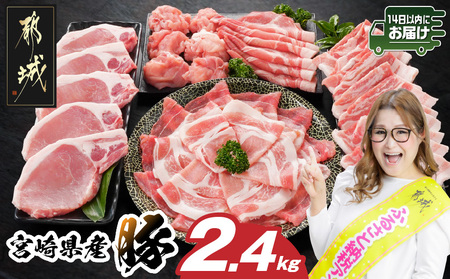 宮崎県産豚わくわく2.4kgセット(真空)≪みやこんじょ快速便≫_14-8406-s-R_県産豚 しゃぶしゃぶ バラ 焼肉 切り落とし 肩ローススライス ロース とんかつ ミンチ 使い勝手抜群 小分け 真空