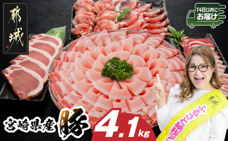 宮崎県産豚わくわく4.1kgセット(真空)≪みやこんじょ快速便≫_AC-8403-s-R_(都城市) 豚肉 豚肉セット 宮崎県産豚 しゃぶしゃぶ バラ 焼肉 切り落とし 肩ローススライス ロース とんかつ ミンチ 使い勝手抜群 小分け
