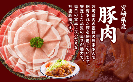 宮崎県産豚わくわく4.1kgセット(真空)≪みやこんじょ快速便≫_AC-8403-s-R_(都城市) 豚肉 豚肉セット 宮崎県産豚 しゃぶしゃぶ バラ 焼肉 切り落とし 肩ローススライス ロース とんかつ ミンチ 使い勝手抜群 小分け