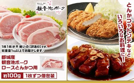 観音池ポークロースとんかつ用【訳あり】&宮崎県産豚切り落とし1.6kgセット_AA-9234_(都城市) 観音池ポーク ロース とんかつ用 不揃い 訳あり 国産豚肉 ウデ・モモ 切落とし