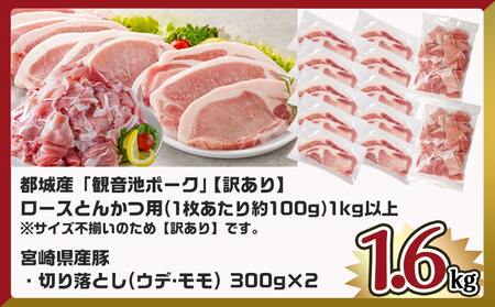 観音池ポークロースとんかつ用【訳あり】&宮崎県産豚切り落とし1.6kgセット_AA-9234_(都城市) 観音池ポーク ロース とんかつ用 不揃い 訳あり 国産豚肉 ウデ・モモ 切落とし