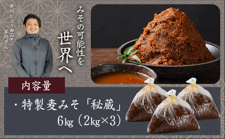 職人がこだわりぬいた~特製麦みそ「秘蔵」6kg_13-F201(都城市) 麦みそ 6kg