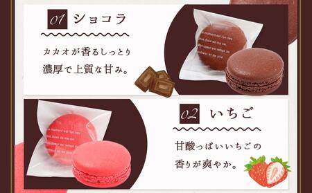 静マカロン 和洋折衷セレクト 6種6個入≪みやこんじょ特急便≫_LE-C207-Q_(都城市) スイーツ ショコラ いちご 塩キャラメル バイオ茶 黒ごま 和三盆 マカロン