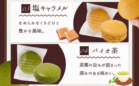 静マカロン 和洋折衷セレクト 6種6個入≪みやこんじょ特急便≫_LE-C207-Q_(都城市) スイーツ ショコラ いちご 塩キャラメル バイオ茶 黒ごま 和三盆 マカロン