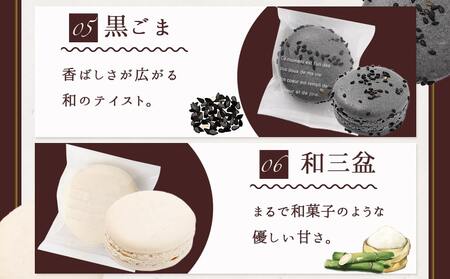 静マカロン 和洋折衷セレクト 6種6個入≪みやこんじょ特急便≫_LE-C207-Q_(都城市) スイーツ ショコラ いちご 塩キャラメル バイオ茶 黒ごま 和三盆 マカロン