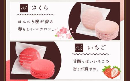 静マカロン 四季彩りセレクト 6種6個入≪みやこんじょ特急便≫_LE-C209-Q_(都城市) スイーツ さくら いちご 日向夏 焼き芋 黒ごま ショコラ マカロン