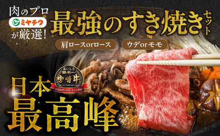 畜産農家応援! 宮崎牛スライス2種セット250g×2パック_13E-N2-001-500_(都城市) 宮崎県産宮崎牛 肩ロース又はローススライス 宮崎牛ウデ又はモモスライス すき焼き しゃぶしゃぶ