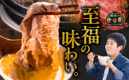 畜産農家応援! 宮崎牛スライス2種セット250g×2パック_13E-N2-001-500_(都城市) 宮崎県産宮崎牛 肩ロース又はローススライス 宮崎牛ウデ又はモモスライス すき焼き しゃぶしゃぶ