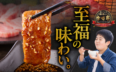 畜産農家応援! 宮崎牛焼肉2種セット250g×2パック_14-N203_(都城市) 赤身 霜降り 食べ比べ 肩ロース又はロース ウデ モモ 焼き肉 牛肉 とろける BBQ 焼肉
