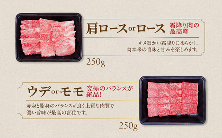 畜産農家応援! 宮崎牛焼肉2種セット250g×2パック_14-N203_(都城市) 赤身 霜降り 食べ比べ 肩ロース又はロース ウデ モモ 焼き肉 牛肉 とろける BBQ 焼肉
