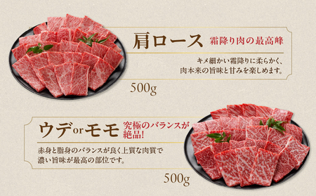 畜産農家応援! 宮崎牛焼肉2種セット500g×2パック+豚肉ハンバーグ100g×4個≪みやこんじょ快速便≫_17-N202-R-ESH_(都城市) 1kg 赤身 霜降り 肩ロース ウデ モモ 焼肉 焼き肉 BBQ 黒毛和牛 宮崎牛 ギャル曽根さんおすすめの牛肉返礼品