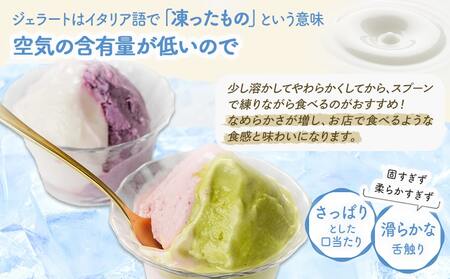 ジェラート専門店「ボンチーノ」7種12個セット_MJ-1565