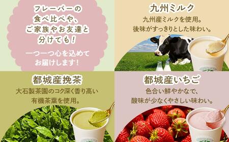 ジェラート専門店「ボンチーノ」7種12個セット_MJ-1565