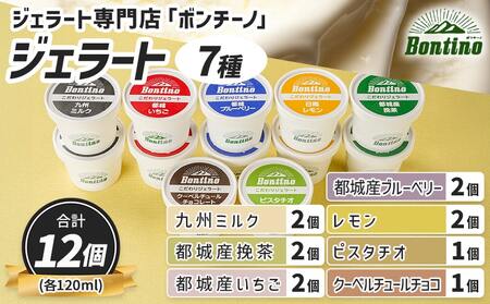 ジェラート専門店「ボンチーノ」7種12個セット_MJ-1565