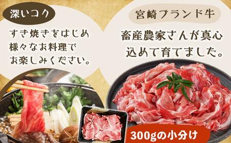 きのこ餃子48個&宮崎牛(A5)霜降り切り落し300g_18-8701_(都城市) ギョウザ 12個入り 4パック 椎茸 きくらげ 都城産ブランド豚 きなこ豚 きゃべつ ニラ ニンニク使用 ヘルシー餃子 大杉しいたけ園 都城産宮崎牛 切り落し 肩 バラ 霜降り