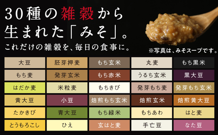 【お試し♪】三十雑穀薬膳スープ1本※ポスト投函_L2-9002_(都城市) 穀物 スープの素 味噌汁 薬膳 高麗人参 花椒 生姜