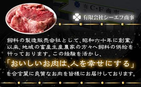 宮崎牛牛すじ1kg(250g×4P)_AA-N301_(都城市) 宮崎牛 宮崎県産 牛すじ 1kg 250g×4P 真空パック 小分け