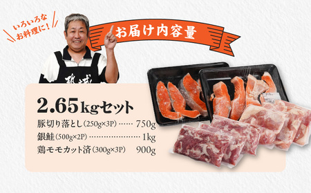 ≪肉×魚≫小分け3種セット(豚切り落とし250g×3P・鶏モモカット済300g×3P・銀鮭500g×2P)_18-8403_(都城市) 小分けパック 冷凍 お弁当 おかず