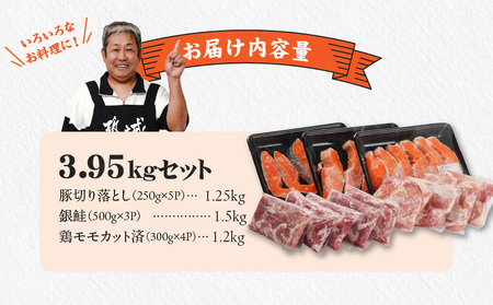 ≪肉×魚≫小分け3種セット(豚切り落とし250g×5P・鶏モモカット済300g×4P・銀鮭500g×3P)_23-8401_(都城市) 小分けパック 冷凍 お弁当 おかず
