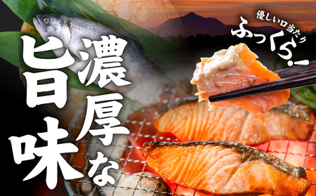 銀鮭500g_LF-8402_(都城市) トレーパック 1Pあたり4～6切れ カット済 調味加工 切身 鮭 さけ 朝食 お弁当 おかず