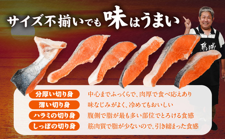 銀鮭500g_LF-8402_(都城市) トレーパック 1Pあたり4～6切れ カット済 調味加工 切身 鮭 さけ 朝食 お弁当 おかず