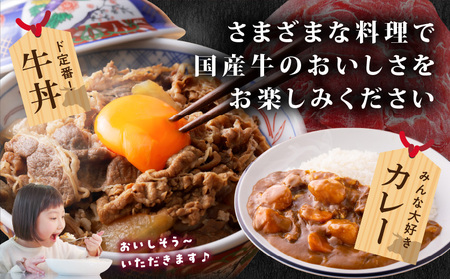 国産牛切り落とし1.35kg_11-3606_(都城市) 国産牛 切り落とし 切落し 1.35kg 450g 3袋 牛丼 炒め物 肉 おかず 食卓 料理 牛 旨味 まろやか 柔らかい