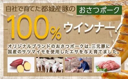「おさつポーク」無塩せきウィンナー2kg_19-D401_(都城市) ブランドポーク 豚肉 無塩せきウインナー計2キロ ポークウインナー 発色剤不使用 朝食 おつまみ お弁当に 豚加工品 お弁当