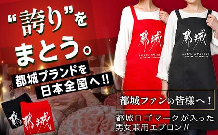 【都城ロゴマーク】エプロン※ポスト投函_AA-1557_(都城市) エプロン ロゴ 男女兼用フリーサイズ レッド ブラック