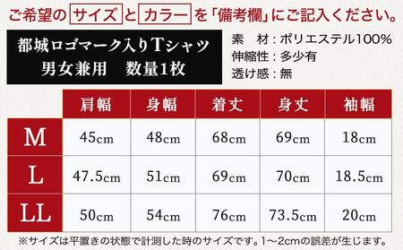 【都城ロゴマーク】Tシャツ※ポスト投函_LD-1502_(都城市) Tシャツ ロゴ ネイビー ブラック 選べる 神話