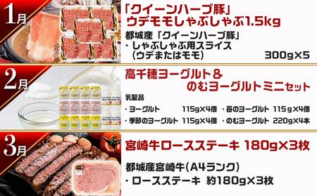 【セレクト定期便】第3弾☆都城市ご当地グルメ定期便(12ヶ月)≪2026年お届け≫_T180-MY01