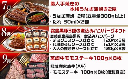 【セレクト定期便】第4弾☆都城市ご当地グルメ定期便(12ヶ月)≪2026年お届け≫_T179-MY01