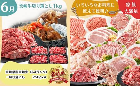 【セレクト定期便】家庭用☆主婦の味方~定期便(5ヶ月)≪2026年お届け≫_T76-MY01